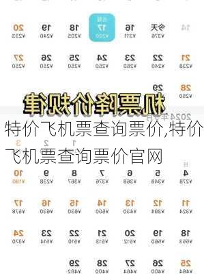 特价飞机票查询票价,特价飞机票查询票价官网