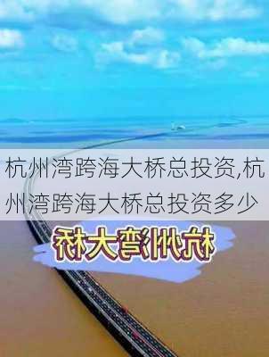 杭州湾跨海大桥总投资,杭州湾跨海大桥总投资多少