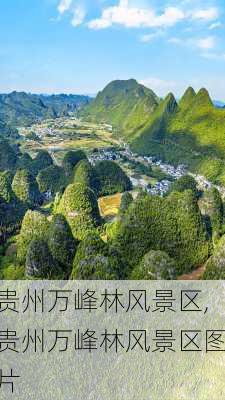 贵州万峰林风景区,贵州万峰林风景区图片