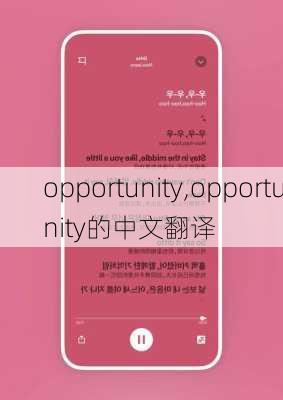 opportunity,opportunity的中文翻译