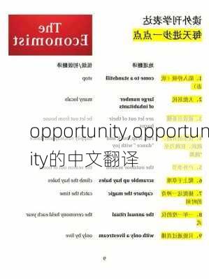 opportunity,opportunity的中文翻译