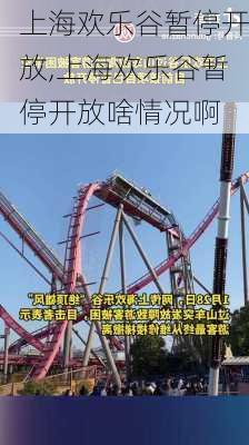 上海欢乐谷暂停开放,上海欢乐谷暂停开放啥情况啊