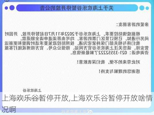 上海欢乐谷暂停开放,上海欢乐谷暂停开放啥情况啊