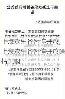 上海欢乐谷暂停开放,上海欢乐谷暂停开放啥情况啊