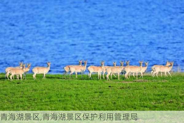 青海湖景区,青海湖景区保护利用管理局