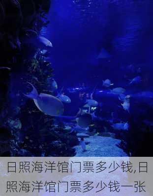 日照海洋馆门票多少钱,日照海洋馆门票多少钱一张