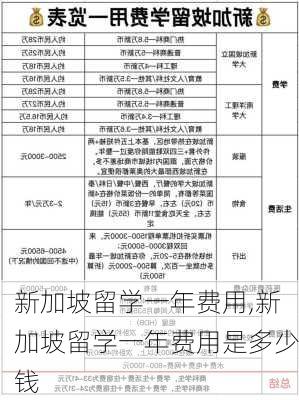 新加坡留学一年费用,新加坡留学一年费用是多少钱