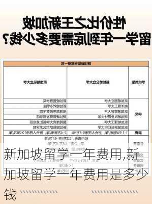 新加坡留学一年费用,新加坡留学一年费用是多少钱