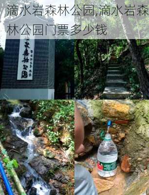 滴水岩森林公园,滴水岩森林公园门票多少钱