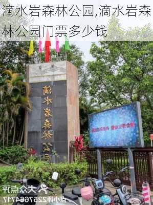 滴水岩森林公园,滴水岩森林公园门票多少钱