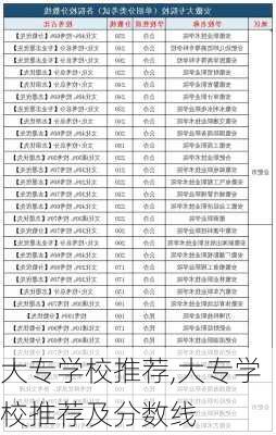 大专学校推荐,大专学校推荐及分数线