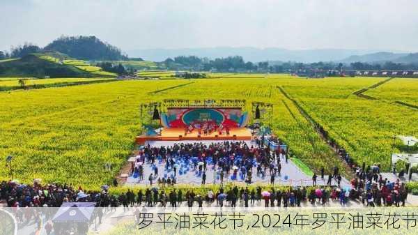 罗平油菜花节,2024年罗平油菜花节