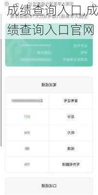 成绩查询入口,成绩查询入口官网