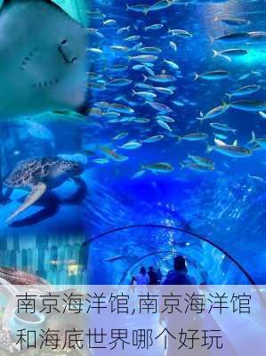 南京海洋馆,南京海洋馆和海底世界哪个好玩