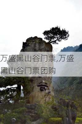 万盛黑山谷门票,万盛黑山谷门票团购