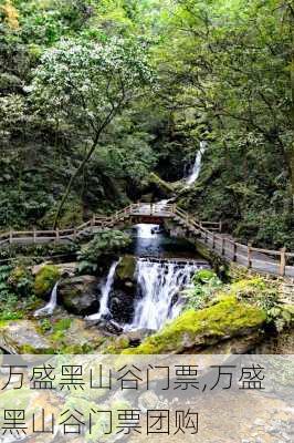 万盛黑山谷门票,万盛黑山谷门票团购