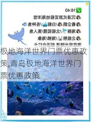 极地海洋世界门票优惠政策,青岛极地海洋世界门票优惠政策