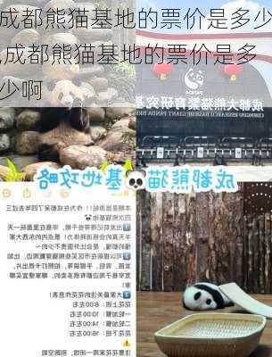 成都熊猫基地的票价是多少,成都熊猫基地的票价是多少啊