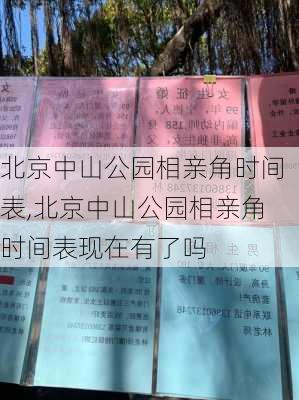 北京中山公园相亲角时间表,北京中山公园相亲角时间表现在有了吗