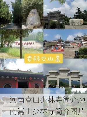 河南嵩山少林寺简介,河南嵩山少林寺简介图片