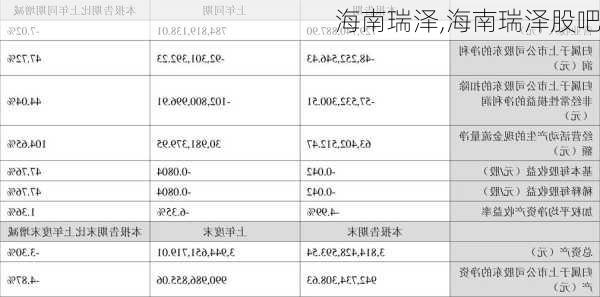 海南瑞泽,海南瑞泽股吧