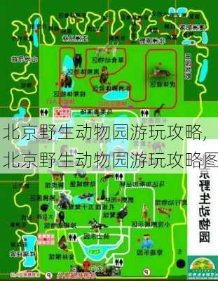 北京野生动物园游玩攻略,北京野生动物园游玩攻略图