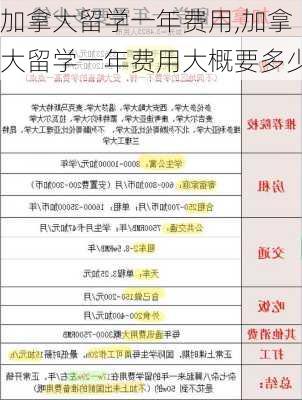 加拿大留学一年费用,加拿大留学一年费用大概要多少