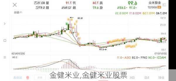 金健米业,金健米业股票