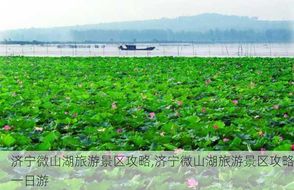 济宁微山湖旅游景区攻略,济宁微山湖旅游景区攻略一日游