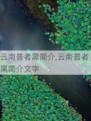 云南普者黑简介,云南普者黑简介文字