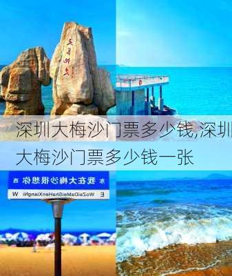 深圳大梅沙门票多少钱,深圳大梅沙门票多少钱一张