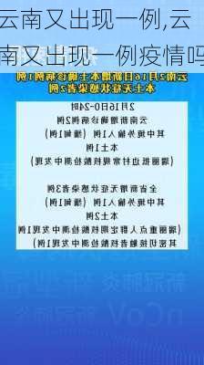 云南又出现一例,云南又出现一例疫情吗