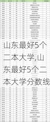 山东最好5个二本大学,山东最好5个二本大学分数线