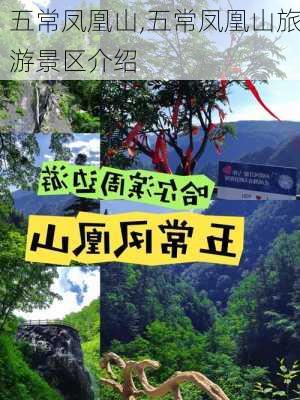 五常凤凰山,五常凤凰山旅游景区介绍